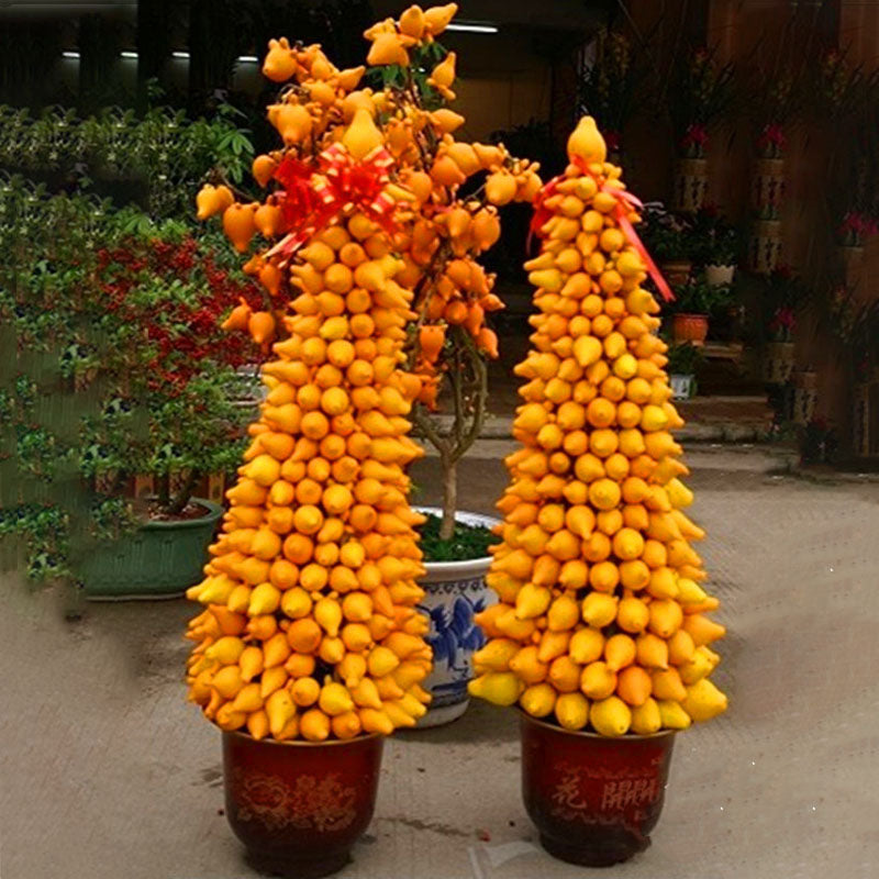 Egrow 10Pcs/Bag Gold Berry Bonsai Seeds Abiu Flores Caimito Garden Potted Plantas Vegetable Plant The Budding Rate 90%