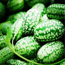 Egrow 50Pcs/Bag Mini Watermelon Seeds Thumb Watermelon Seeds Watermelon Fruit Seeds Indoor Plants