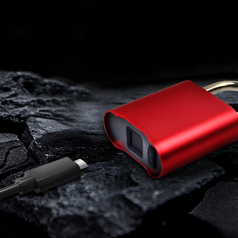 CE/ROHS Certification Intelligent Fingerprint Electronic Padlock APP/Fingerprint Unlock Outdoor Waterproof Student Cabinet Anti-theft Metal Small Padlock USB Charging Door Lock