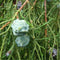 Egrow 60 Pcs/Pack Cypress Seeds  Line Cypress Tree Plant Chamaecyparis Pisifera Filifera
