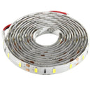 2M 36W DC 12V 120 SMD 5630 Waterproof White/Warm White Red/Green/Blue LED Strip Flexible Light