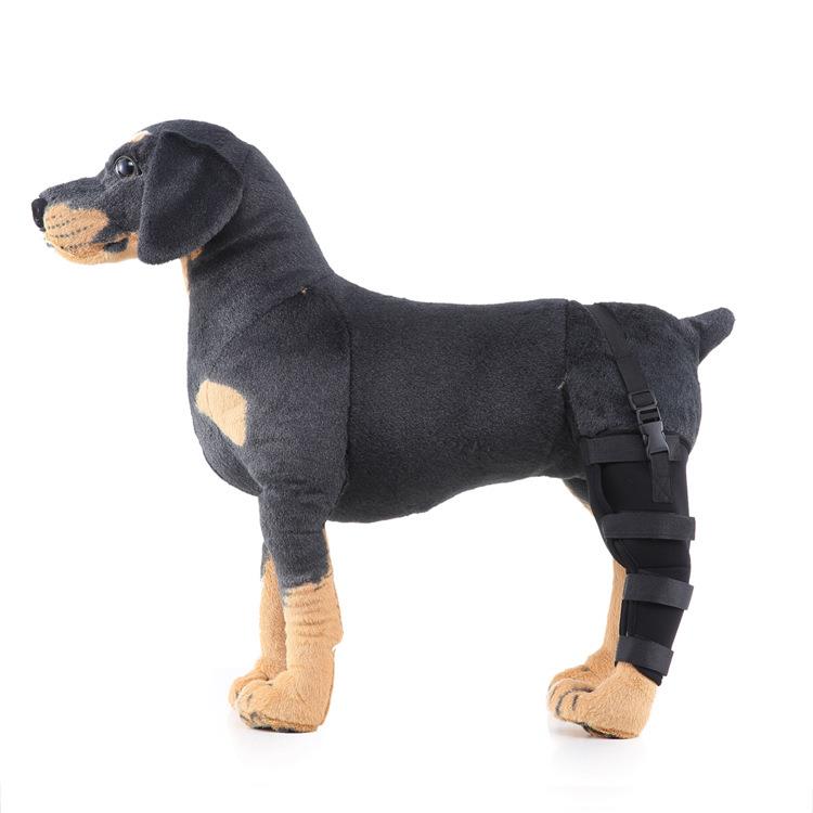 Pet Supplies Knee Pads Dog Leg Support Guard Assist Tool Protector Surgery Injury Protective Cover Reflective Clause Dog Hind Leg Guard