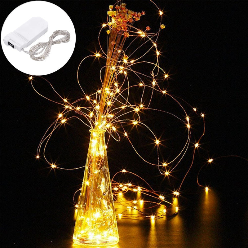 LUSTREON DC3V Warm White Yellow 2M Silver Wire Turn On LED String Light for Christmas Holiday Vase Decor