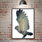 Miico Hand Painted Oil Paintings Simple Style-A Flying Owl Wall Art For Home Decoration Painting