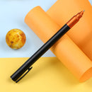 Picasso PS-977 Star Fountain Pen Pimio Extra Fine Nib 0.38mm Financial Business Student Ink Pen Writing Gift Pen