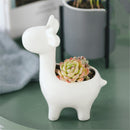 Ceramic Succulent Plant Container Flower Pot Planter Holder Vase Animal Shape Decorations