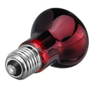 E27 R63 25W 50W 75W 100W Red Nightlight Heater Reptile Light Lamp AC220-240V
