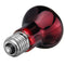 E27 R63 25W 50W 75W 100W Red Nightlight Heater Reptile Light Lamp AC220-240V