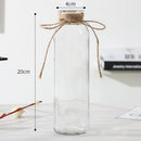 Transparent Glass Vases Living Room Table Decor