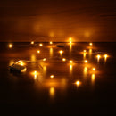 LUSTREON DC3V Warm White Yellow 2M Silver Wire Turn On LED String Light for Christmas Holiday Vase Decor