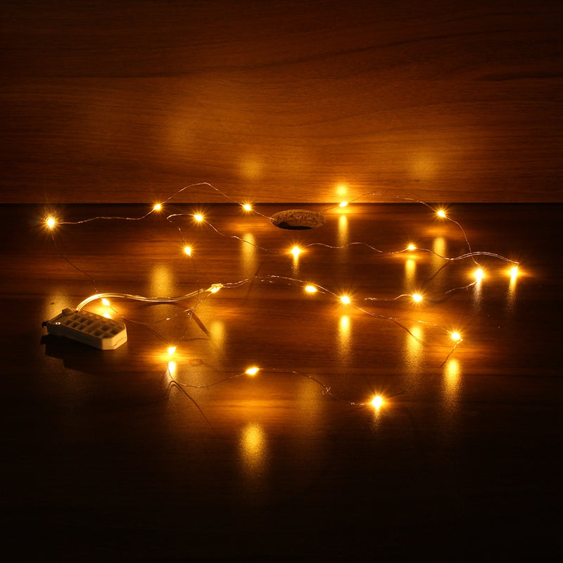 LUSTREON DC3V Warm White Yellow 2M Silver Wire Turn On LED String Light for Christmas Holiday Vase Decor