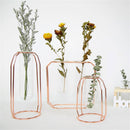 Glass Vase Flower Holder Plant Container Metal Line for Decorations
