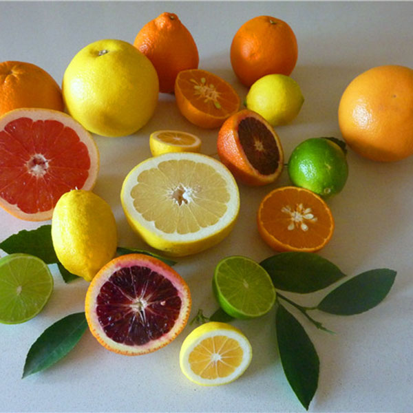 Egrow 20 Pcs/Pack Edible Yellow Lemon Seed Citrus Bonsai Home Garden Fresh Lemon Fruit Tree Seeds