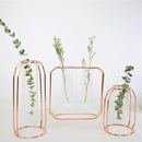 Glass Vase Flower Holder Plant Container Metal Line for Decorations