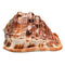Natural Bull's mouth Helmet Conch Shell Coral Sea Snail FishTank Adorn Ornament Home Decorations