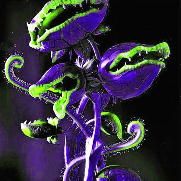 Egrow 100Pcs/Pack Flytrap Seeds Garden Potted Dionaea Muscipula Giant Carnivorous Plant Seeds