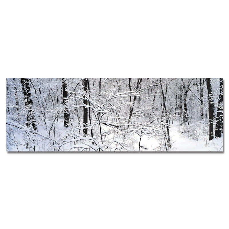DYC 10494 Single Spray Oil Paintings Photography Forest Snow Scene Painting WallArt For Home Decoration Paintings