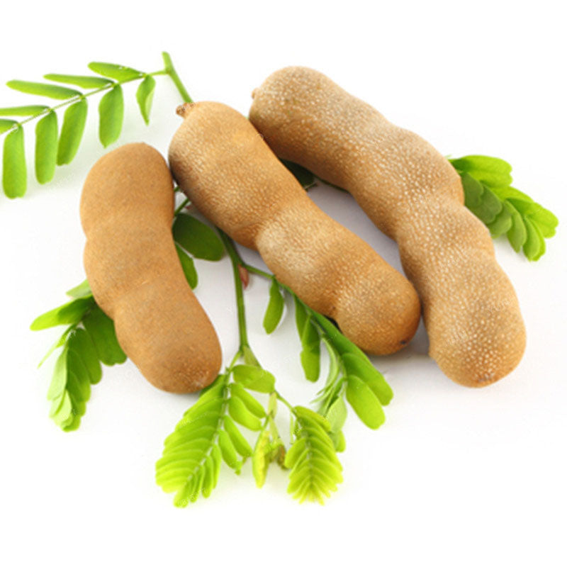 Egrow 10Pcs/Pack Tamarind Tree Seeds Fruit Vegetable Tree Bonsai Home Garden Decoration DIY Plants