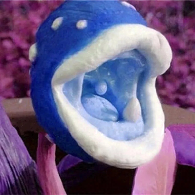 Insect Capture Plant Succulent Enchantress Plant Carnivore Office Pot Bonsai Seeds Slurperon Seeds