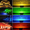10W Remote Control RGB Outdoor LED Flood Light Waterproof Wall Washer Lamp AC100-245V