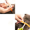 Dog Collar Eliminating Flea Pet Dog Cat Anti Lice Plague Mosquito Insect Prevents Removing Oil Flea Repellent From Xiaomi Youpin