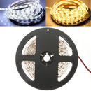 5M 24W 300LEDs SMD 3528 Pure White Warm White Flexible LED Strip Light Waterproof DC12V