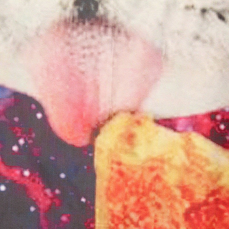 Space Nebula Cat Eating Pizza Home Bathroom Shower Curtain Polyester Hook Set