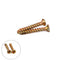 10mm x 80/100mm Yellow Croaker Plastic Expansion Bolts Expansion Tube Self-Tapping Screw for Door Window Frames Cabinet Fixing