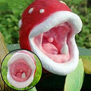 Insect Capture Plant Succulent Enchantress Plant Carnivore Office Pot Bonsai Seeds Slurperon Seeds