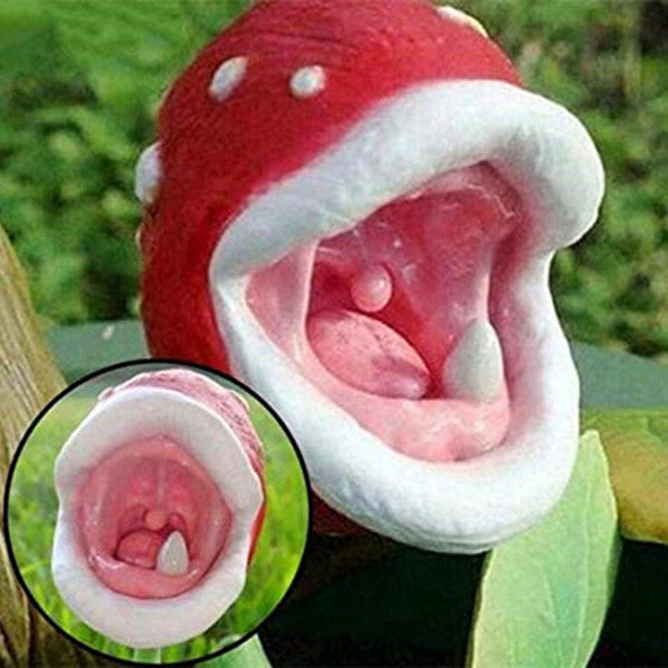 Insect Capture Plant Succulent Enchantress Plant Carnivore Office Pot Bonsai Seeds Slurperon Seeds