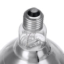 AC220V 250W Poultry Heat Incubator Lamp Infrared Pet Bulb Warm Light + Lampshade for Animals