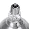 AC220V 250W Poultry Heat Incubator Lamp Infrared Pet Bulb Warm Light + Lampshade for Animals