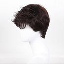 Fashion Short Hair Rose Net High Temperature Silk Chemical Fiber Hood Men's Wig