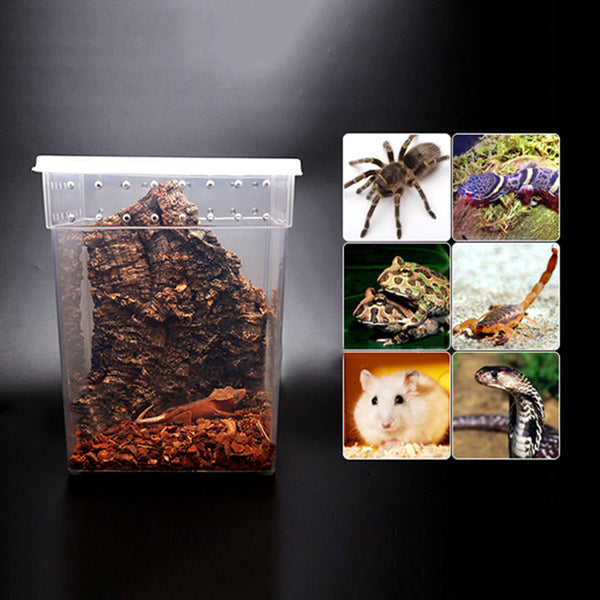 Transparent Plastic Display Box Insect Reptile Breeding Feeding Tub Turtle Tank 20*20*25