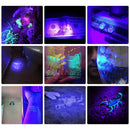 AloneFire 68LED 9W 50M 395nm UV Light  IP65 Waterproof LED Flashlight AA Flashlight