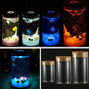 DIY Moss Micro Landscape Cylinder Glass Bottle with Colorful LED Light Succulent Plants Vase