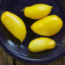 Egrow 100Pcs/Pack Mango Tomato Seeds Garden Potted Fruit Vegetable Planting