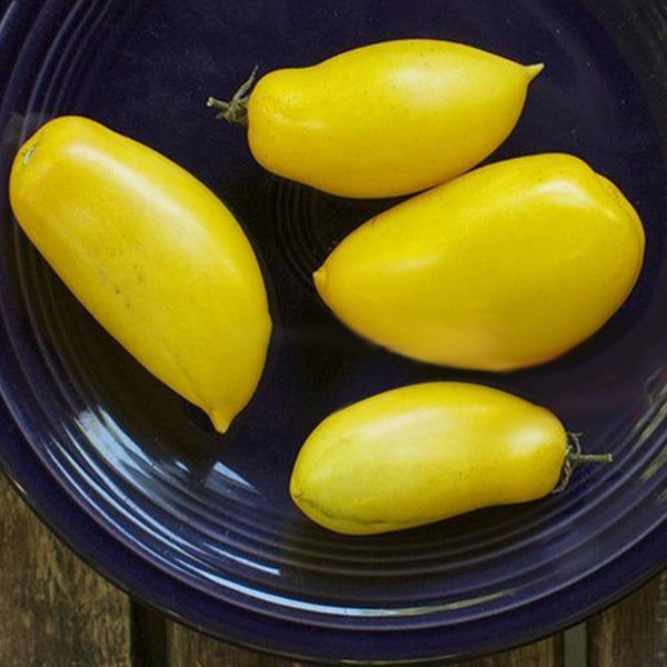 Egrow 100Pcs/Pack Mango Tomato Seeds Garden Potted Fruit Vegetable Planting