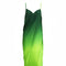 Sexy Women Gradient Long Beach Skirt Cover up Outdoor Sunscreen Sling Dress Sarong Towel
