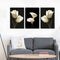 Miico Hand Painted Three Combination Decorative Paintings Botanic White Flower Wall Art For Home Decoration