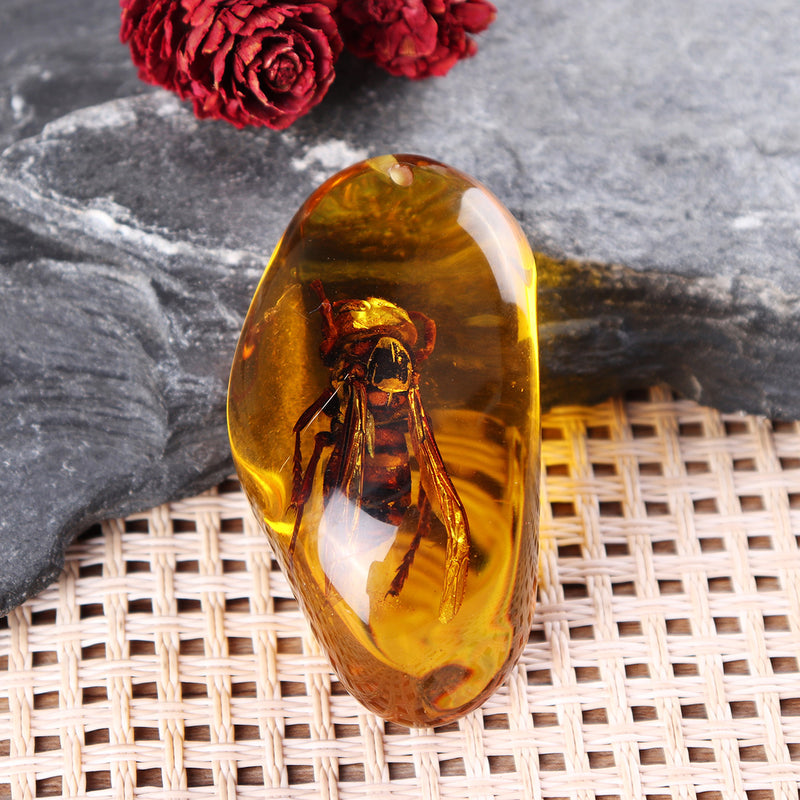 Beautiful Amber Hornet Petrifaction Insects Manual Polishing Insect Specimens Home Decorations