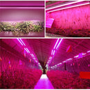 96LED Grow Light Tube Full Spectrum Indoor Plant lamp Greenhouse Double Tube