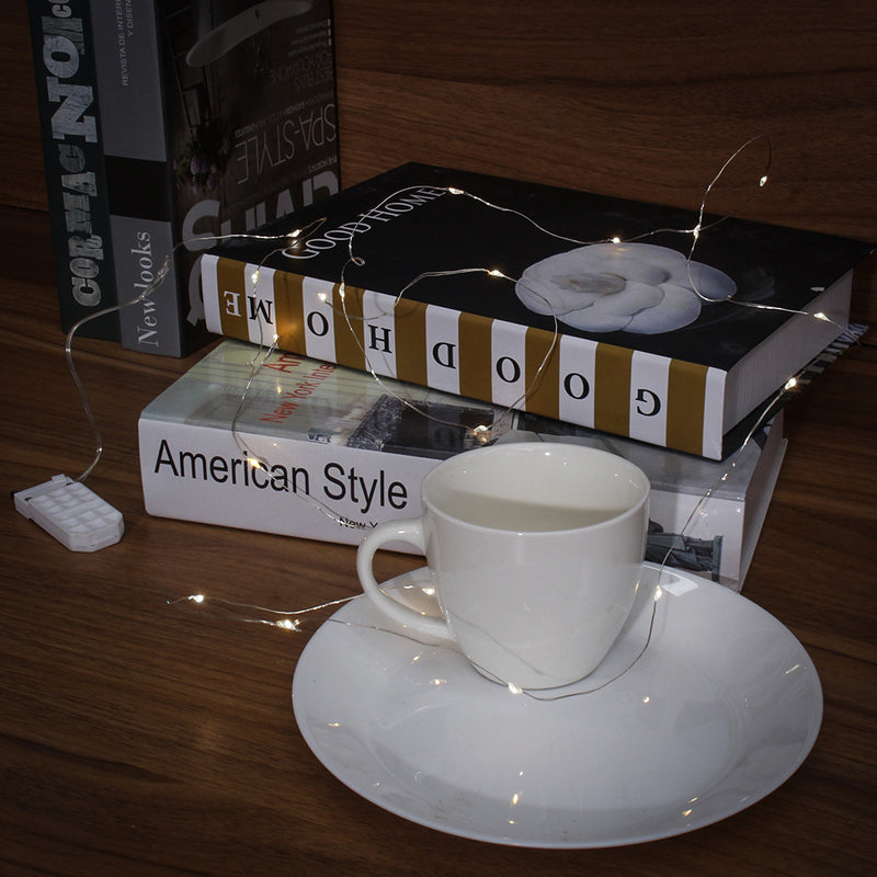 LUSTREON DC3V Warm White Yellow 2M Silver Wire Turn On LED String Light for Christmas Holiday Vase Decor