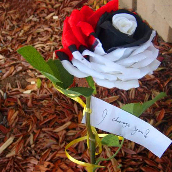 Egrow 200Pcs/bag Rare Rainbow Rose Seeds Black Red Color Rose Flower Bonsai Plants for Garden Balcony Planting