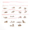 20pF - 1uF 50V 180pcs 18 Values Leaded Multilayer / Monolithic Ceramic Capacitor Assorted Kit