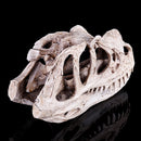 Resin Ceratosaurus Dinosaur Skull Fossil Model Collectible Craft Gift Decorations
