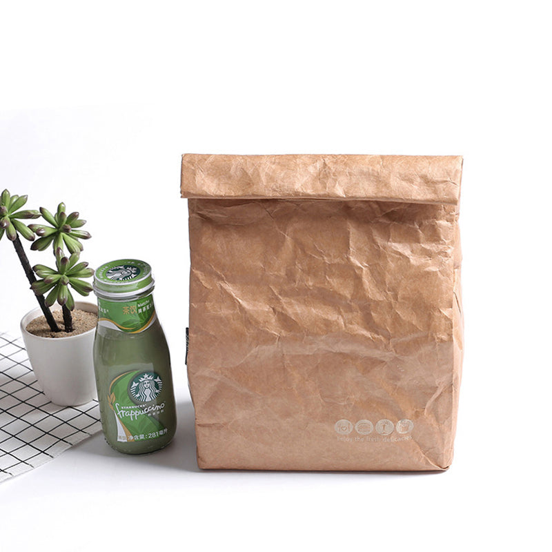 SANNE 6L Brown Paper Lunch Bag Reusable Box Sack Durable Insulated Thermal Kraft Paper Bag Snack