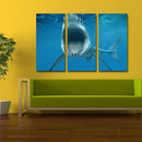 Miico Hand Painted Three Combination Decorative Paintings  White Shark Wall Art For Home Decoration