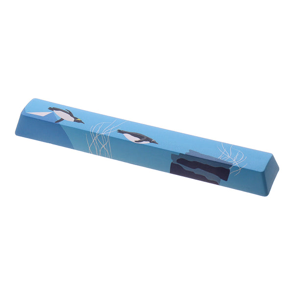 Five-sided Dyesub PBT OEM Profile Penguin Space Bar 6.25u Novelty Keycap for GK61 Black Case and Cherry MX Switch Keyboard