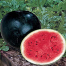 Egrow 30 Pcs/Pack Watermelon Seeds Giant Black Watermelon Bonsai Fruit Plant Sweet Juicy Water Melon Home Garden Bonsai